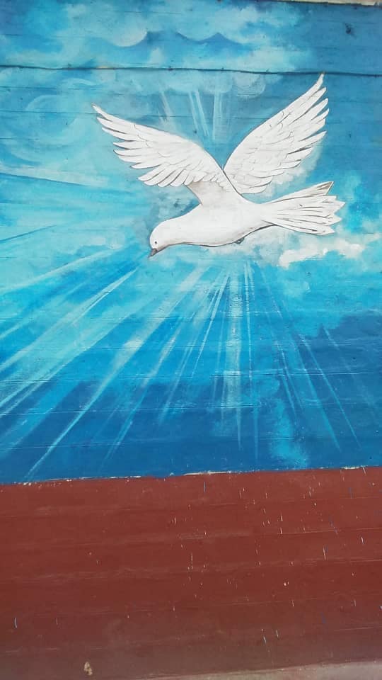 Dove 2