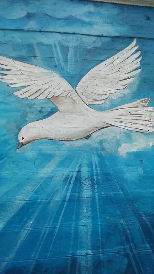 Dove